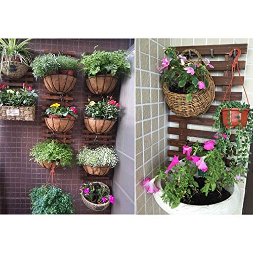 Concey Jardinera de Pared, Soporte para Plantas Colgantes, Soporte suculento de Planta de Aire de Madera para jardín Vertical, Plantas de Interior, decoración de Sala de Estar