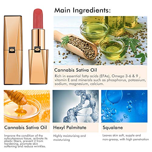 Cosméticos Lápiz labial Hidratante Lápiz labial Suave Impermeable Duradero Antiadherente Vaso Maquillaje Velvet Brillo labial Tratamiento para Problemas de Labios. (01)