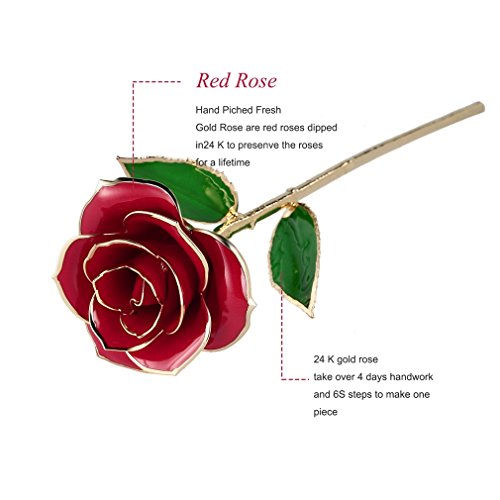 Cozime Rosa de Oro 24K con Base Soporte, Fresco Rosas Vivas con Caja de Regalo para Madre, Novia, Esposa, el Día de San Valentín, Navidad, Fiestas Doradas - Rojo (Rojo)