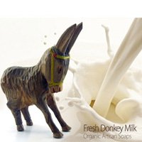 Crema de coco Donkey Milk Orgánica Natural hecho a mano Francés Jabón 100 g