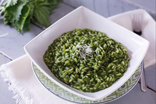 CREMA DE ORTIGA GR 580