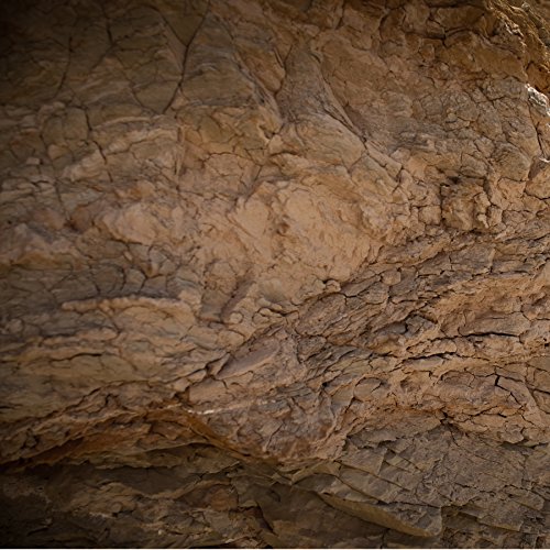 Crema Facial Scrub Exfoliante Vegana – Para Dejar La Piel de Tu Rostro Linda, con Acción Inmediata - Frasco De 50 ml