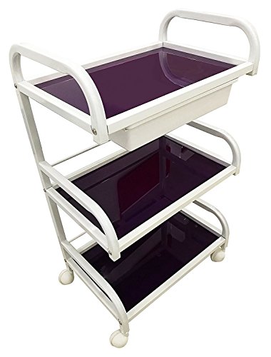 Crisnails - Carros de Mantenimiento con Ruedas Profesional para Peluquería, Barbería, Perfumería, Cosméticos, Salón, Tienda de Tatuaje, Manicura y Pedicura (Morado)