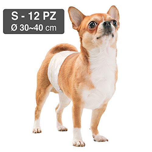Croci C6028711 Pañales desechables forma de banda para perros Macho, Pequeño (S), 30 - 40 cm, Juego de 12