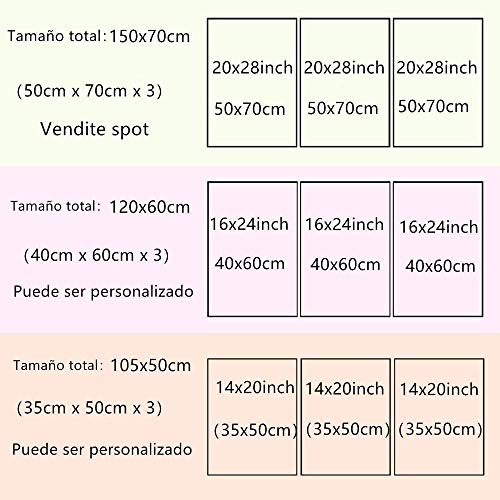 Cuadro Pared Pintura Decor Moderna Tríptico 3 Piezas Impresión De Lienzo Decor Hogar Sala Estar Dormitorio Infantil Oficina Club Corredor Mural Regalo 50x70x3 (Marco) Juego De Arte De Star Wars