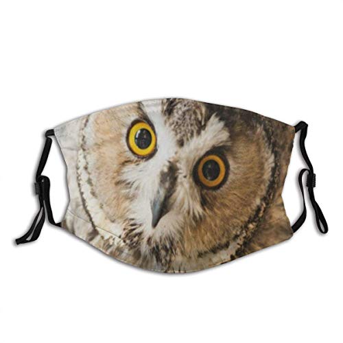 Cubierta Facial Animal Encantador Búho Divertido Look You Unisex Algodón Lavable y Reutilizable Decoración Facial cálida para Exteriores