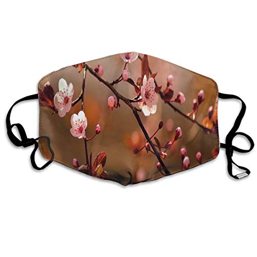 Cubierta, Ramas de árbol de Cerezo en Flor de Sakura, floreciente Estampado japonés floreciente, Decoraciones faciales Impresas para Adultos
