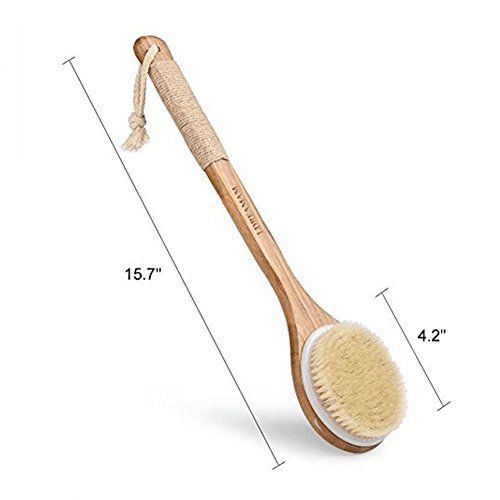 Cuerpo Cepillo,Cepillo de baño,Cepillo Espalda Ducha,Limpiar Espalda y Euerpo,Exfoliación,Masajee,SPA,Detox,Anti celulitis,Obtener Piel Suav