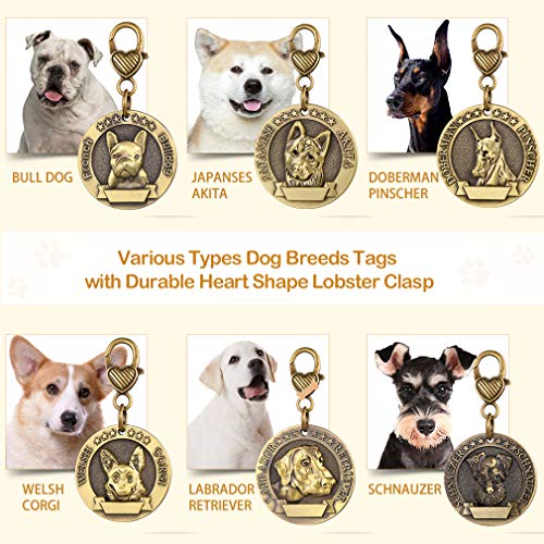 Custom4U Placa de Identidad para Perros Etiquetas Redondas Zinc 3D Relieve Dog Tag Personalizado con Nombres Grabados para Bulldog FRANCÉS