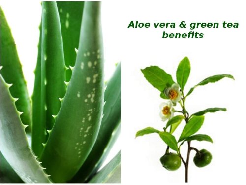 CzSalus - Pantalón corto reductor anticelulítico con aloe vera y té verde, Mujer, Negro
, L
