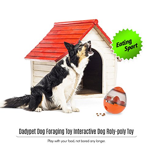 DADYPET Juguetes para Perros, Mascotas Perros Accesorios Pelota Dispensadora de Comida Fácil de Limpiar (Naranja)