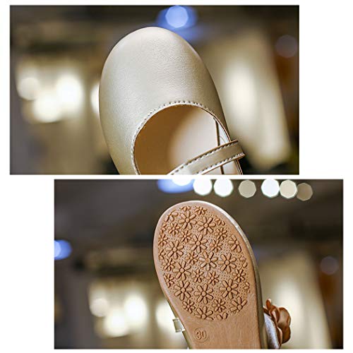 DEBAIJIA Princess Niñas Zapatos 2-8 Años Zapatillas Moda Niños Clásico Hermosa Flor Tendencia Primavera Otoño Fondo Suave Cuero Correr Baile Dulce Pequeño Fresco Caminar Al Aire Libre