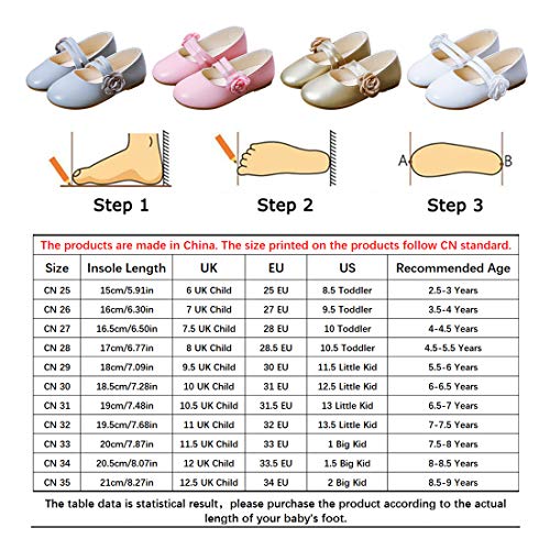 DEBAIJIA Princess Niñas Zapatos 2-8 Años Zapatillas Moda Niños Clásico Hermosa Flor Tendencia Primavera Otoño Fondo Suave Cuero Correr Baile Dulce Pequeño Fresco Caminar Al Aire Libre