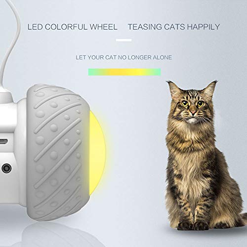 Decdeal Juguete Automático Gatos Bola de Gato Luminoso con Ruedas Interactivo Recargable Carga USB Pelota Interactiva para Gato con Pumas Luz Colorida para Gatitos