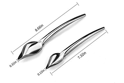 Deco Cuchara de Dibujo Culinario Multiuso Precision Chef Cucharas para Decorar Platos, Juego de 2