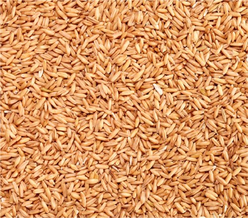 Dehner Avena pelada, 10 x 1 kg (10 kg).