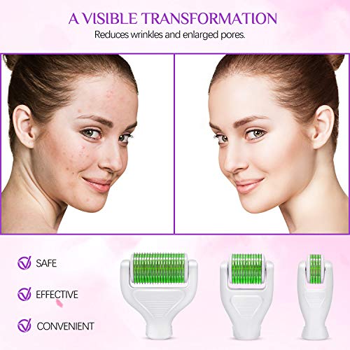 Derma Roller, Aiemok 6 en 1 Microneedle Dermaroller Rodillo Agujas de Acero Titanio, 0.25/0.5/1.0/1.5mm Agujas Dermaroller Sistema de microagujas para Reducir Cicatrices, Anti-Edad, Poro Contractivo