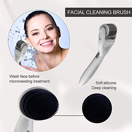 Derma Roller, Dermaroller, Dermaroller Titanio, Dermaroller Facial, Rodillo Agujas, 6 en 1 Derma Roller por para reducir arrugas, puntos oscuros, cicatrices, celulitis, estrías