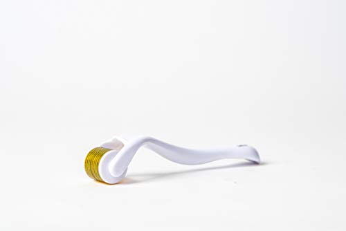 Derma Roller Rodillo con Sistema De Micro Agujas Contra Envejecimiento Tratamiento Para Manchas de Acne | regalo para calcetín navideño