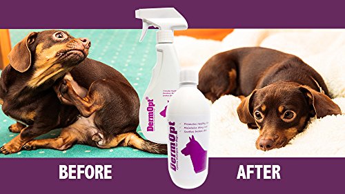 DermOpt® Spray y acondicionador de piel para el cuidado de perros, alivia el picor