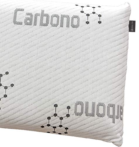 DHestia - Almohada Viscoelástica Carbono Activo Anti Malos Olores y Anti Humedades Doble Funda ViscoActive. (Pack 2 uds 75 cm)