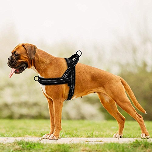 Didog - Arnés para perro acolchado de franela suave, a prueba de escape/ajuste rápido, correa reflectante para perro, fácil para entrenamiento de caminata