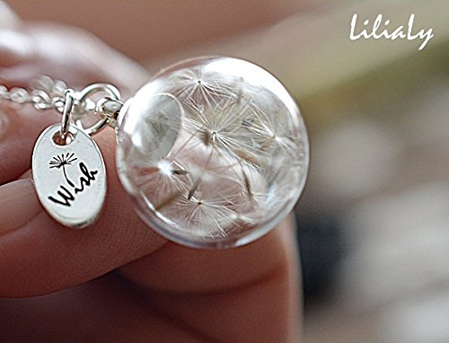 Diente de león Desea collar, collar de buena suerte, hacer un deseo colgante  terrario collar 。