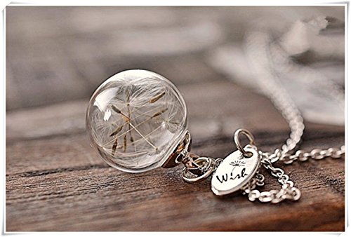 Diente de león Desea collar, collar de buena suerte, hacer un deseo colgante  terrario collar 。