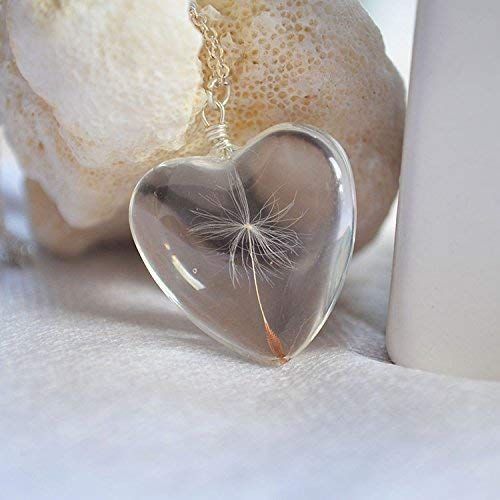 Diente de león Pide un deseo Real Flores Grande Corazón Amor Vaso Colgante Plata Esterlina 925 Cadena Collares