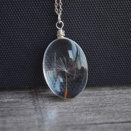 Diente de león Pide un deseo Real Flores Transparente Vaso Colgante Plata Esterlina 925 Cadena Collares