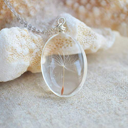 Diente de león Pide un deseo Real Flores Transparente Vaso Colgante Plata Esterlina 925 Cadena Collares