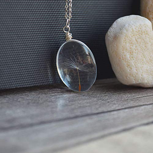 Diente de león Pide un deseo Real Flores Transparente Vaso Colgante Plata Esterlina 925 Cadena Collares