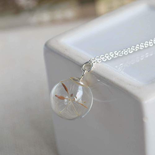 Diente de león Real Flor Pide un deseo Vaso Pelota Colgante Plata Esterlina 925 Cadena Collares