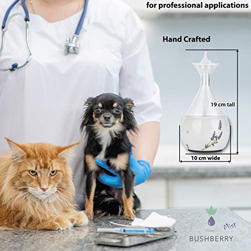 Difusor de Aromas – Nebulizador Cerámico con Vidrio -Difusor Aromaterapia sin Agua – sin contacto con plásticos – No Tóxico – Vaporizador de Aceites Esenciales Doméstico y Profesional