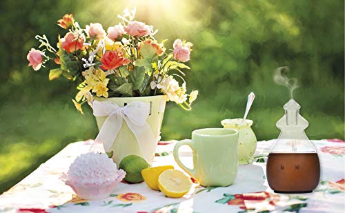 Difusor de Aromas – Nebulizador madera de nogal con Vidrio -Difusor Aromaterapia sin Agua – sin contacto con plásti-cos – No Tóxico – Vaporizador de Aceites Esenciales.