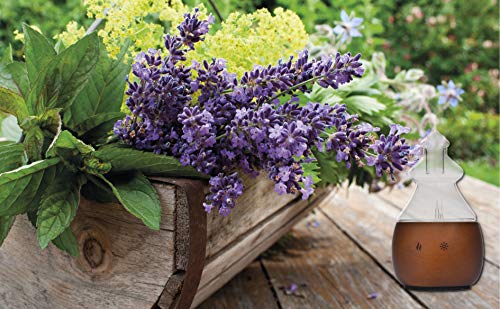 Difusor de Aromas – Nebulizador madera de nogal con Vidrio -Difusor Aromaterapia sin Agua – sin contacto con plásti-cos – No Tóxico – Vaporizador de Aceites Esenciales.