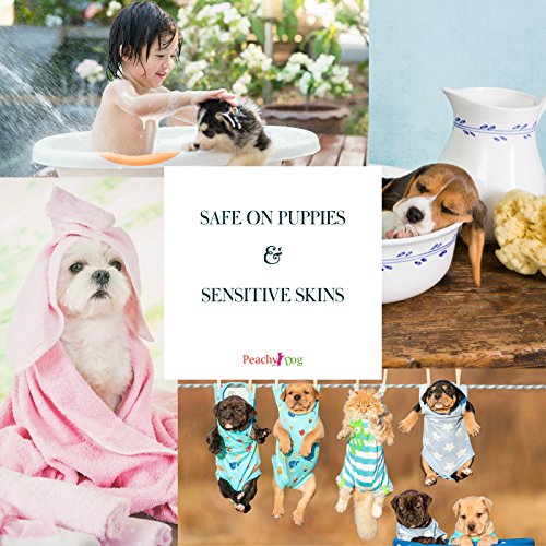 dogwash Natural Pet de harina de avena Champú eficazmente Alivia Irritación, hidrata y reparaciones de cura piel, pelo dañado, neutraliza los olores y Freshens