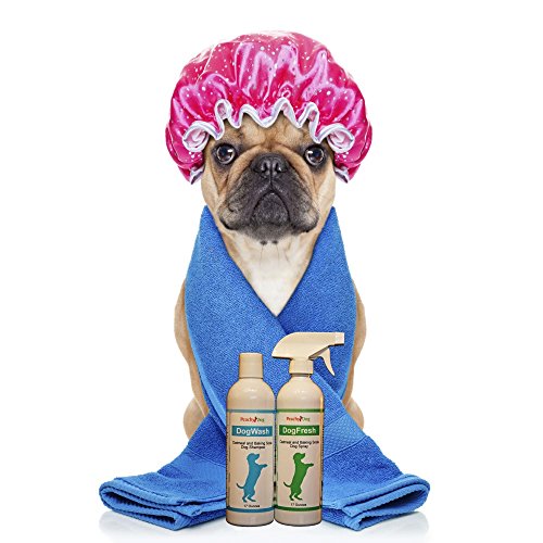 dogwash Natural Pet de harina de avena Champú eficazmente Alivia Irritación, hidrata y reparaciones de cura piel, pelo dañado, neutraliza los olores y Freshens