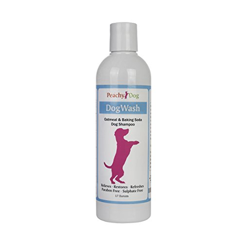 dogwash Natural Pet de harina de avena Champú eficazmente Alivia Irritación, hidrata y reparaciones de cura piel, pelo dañado, neutraliza los olores y Freshens