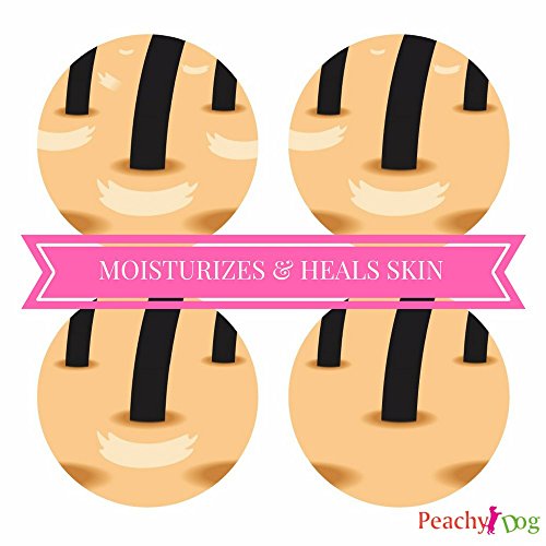 dogwash Natural Pet de harina de avena Champú eficazmente Alivia Irritación, hidrata y reparaciones de cura piel, pelo dañado, neutraliza los olores y Freshens