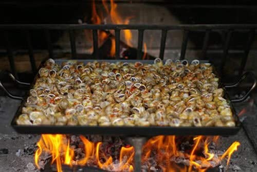 DOJA Barcelona | Lata de Hierro para Caracoles o Arroz al Cuadrado | Dimensiones: 22x22 | Cargols a la llauna Arroz a la llauna | Bandeja pequeña para ración Individual