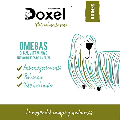 Doxel Senior-1 litro| Aceite Perros| Suplemento| Antiinflamatorio| Anti envejecimiento| Articulaciones sanas| Sistema inmunitario| Ácidos grasos Omega 3 6 9| Vitamina E| Masa Muscular|Perros Mayores