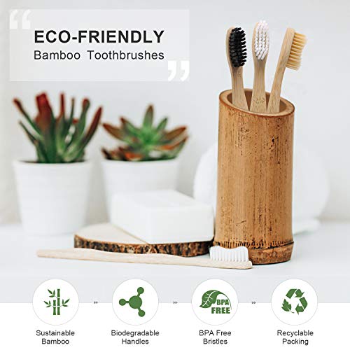 DTNO.I Cepillos de Dientes de Bambú, Paquete de 10 Cepillo Dientes Orgánicos Ecológicos Sin BPA y Veganos, Medio Suave Cepillo de Dientes Biodegradable Natural con Embalaje Reciclable para Adultos