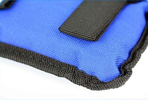 Ducomi Juri - Soft Pesos para Tobillos y Muñecas - Ideal para Deportes y Actividad Física - Mejora el Tono Muscular de Las Extremidades Inferiores y Superiores (Azul, 2 x 0,250 Kg)