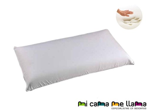 Dulces Sueños Almohada VISCOELASTICA 100% - Antiácaros y Antibacterias - Tejido Aloe Vera- Doble Funda con Cremallera - Ergonomica - 90cm
