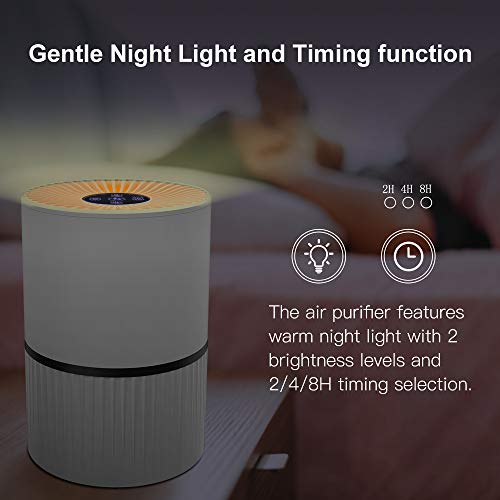 Duomishu Purificador de Aire para Hogar Oficina 4 en 1 Filtro HEPA Carbón Activado,con Purificación de Iones Negativos, Aromaterapia, Luz Nocturna y Temporización para Mascotas/Humo/Gérmenes/Polvo