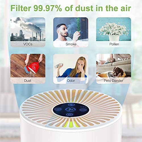 Duomishu Purificador de Aire para Hogar Oficina 4 en 1 Filtro HEPA Carbón Activado,con Purificación de Iones Negativos, Aromaterapia, Luz Nocturna y Temporización para Mascotas/Humo/Gérmenes/Polvo