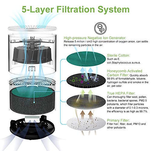 Duomishu Purificador de Aire para Hogar Oficina 4 en 1 Filtro HEPA Carbón Activado,con Purificación de Iones Negativos, Aromaterapia, Luz Nocturna y Temporización para Mascotas/Humo/Gérmenes/Polvo