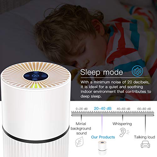 Duomishu Purificador de Aire para Hogar Oficina 4 en 1 Filtro HEPA Carbón Activado,con Purificación de Iones Negativos, Aromaterapia, Luz Nocturna y Temporización para Mascotas/Humo/Gérmenes/Polvo