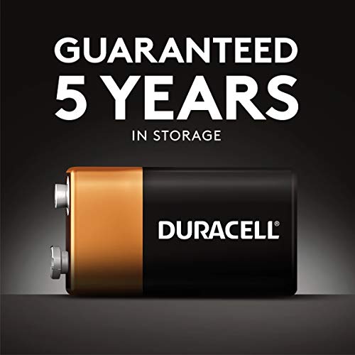 Duracell Security - Pilas (Alkaline, 1.5 V, 2 unidades)